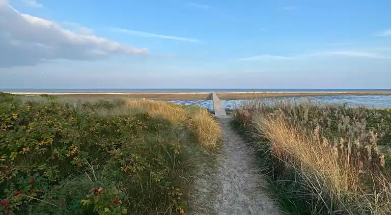 Lyst sommerhus 300 meter fra stranden