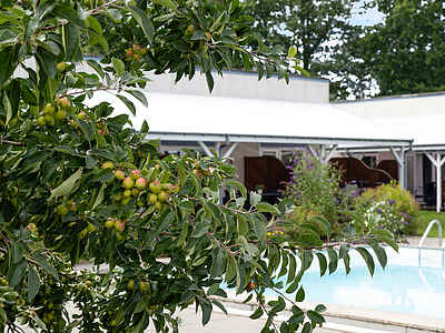 Pilegårdsvejen 1, Dueodde Feriepark 3