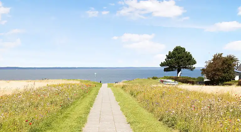 Hyggelig, central og moderne sommerhus nær havet