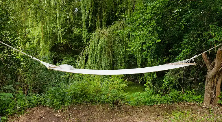 Nyrenoveret sommerhus midt i skoven