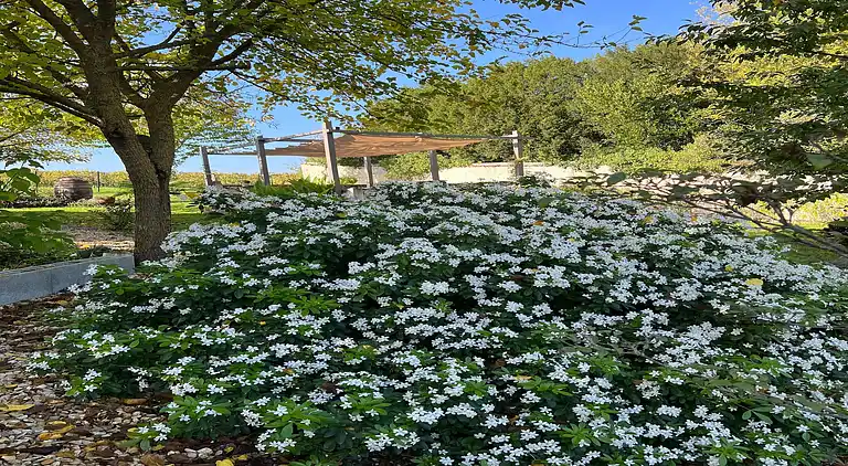 Villa in Lignières-Sonneville