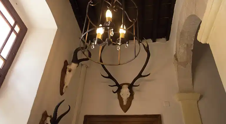 Castle in Languedoc-Roussillon