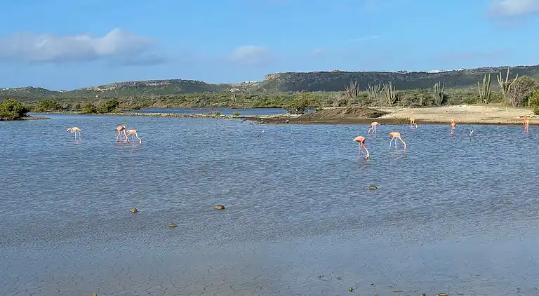 Villa in Sint Willibrordus