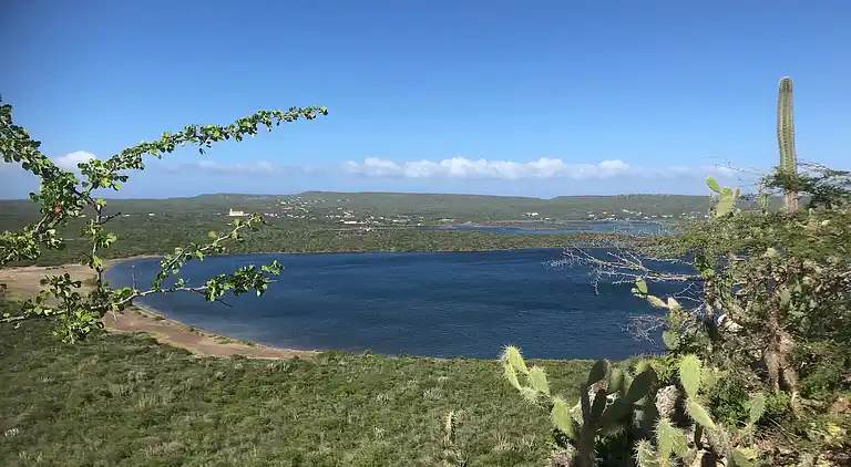 Villa in Sint Willibrordus