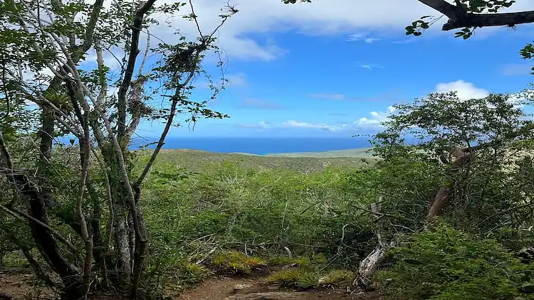 Villa in Sint Willibrordus