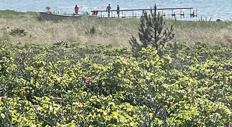 Ländliche Idylle und schöne Landschaft