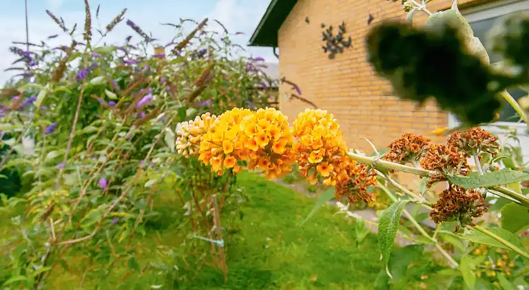 Sommerhus i Tranekær