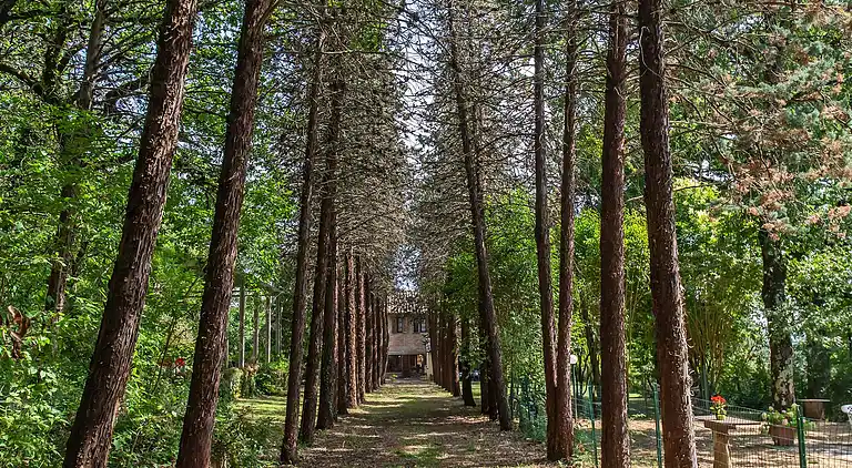 VILLA IN FARMHOUSE with pool