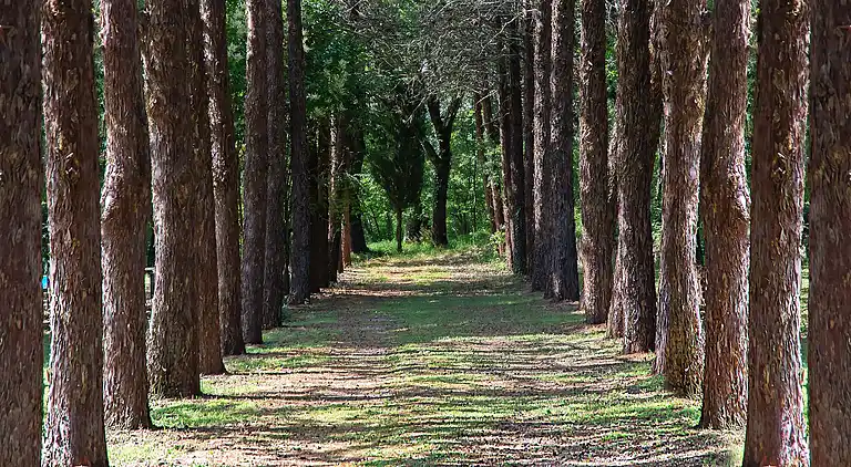 VILLA IN FARMHOUSE with pool