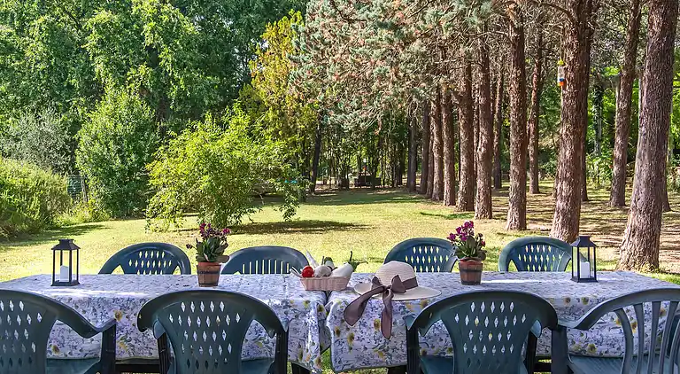 VILLA IN FARMHOUSE with pool