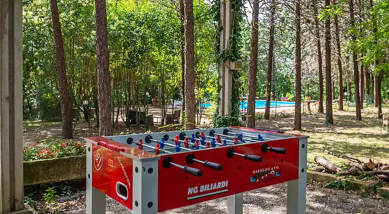 VILLA IN FARMHOUSE with pool