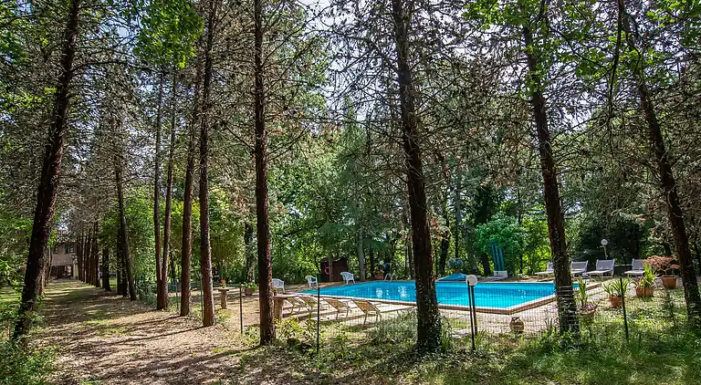 VILLA IN FARMHOUSE with pool
