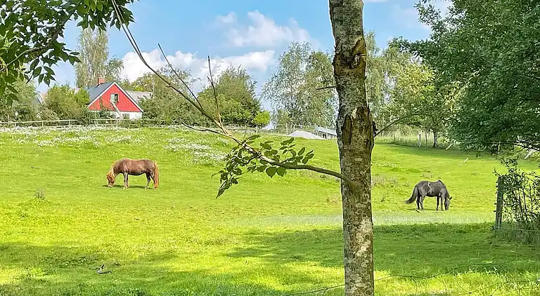 Holiday home in Skåne