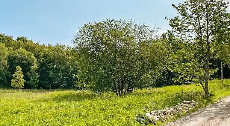 Holiday home in Skåne