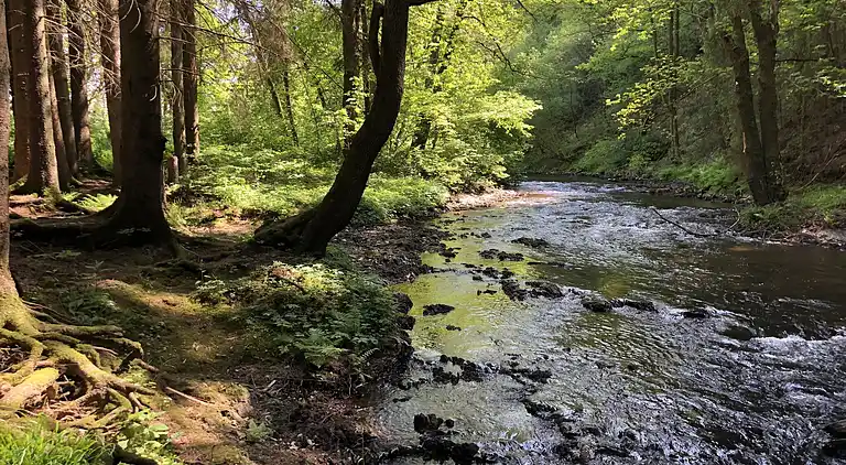 Holiday home in Lommersweiler