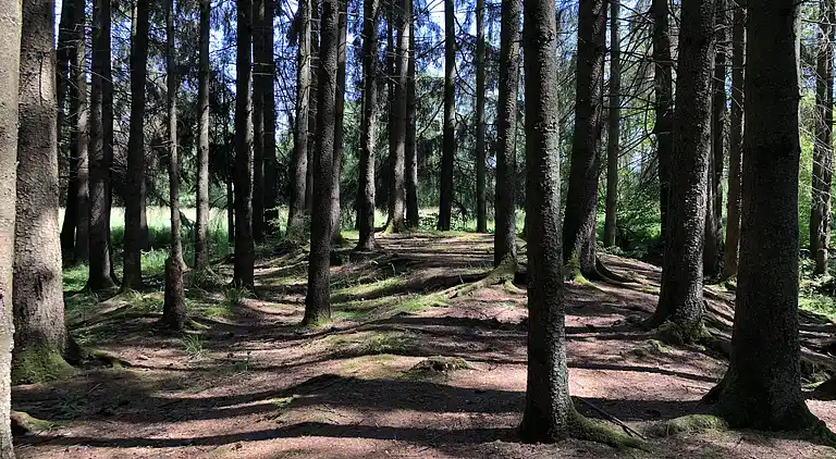 Holiday home in Lommersweiler