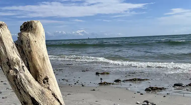 Nydelig strandhus innpakket i grønne omgivelser