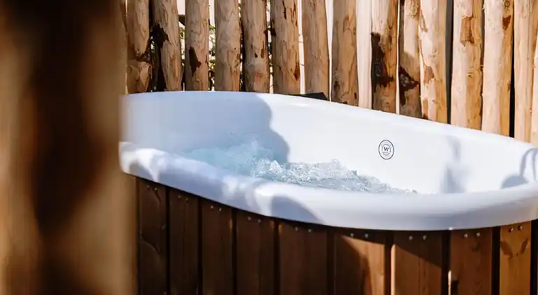 Vakantiehuis in Voorthuizen