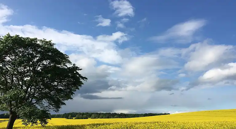 Holiday home in Neu Poserin