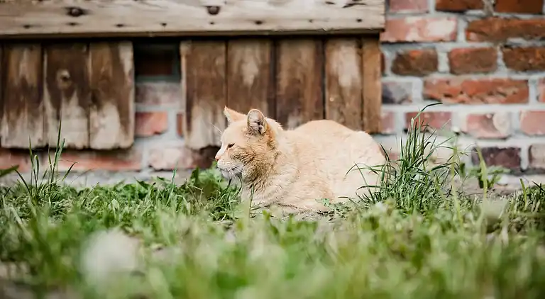 Holiday home in Neu Poserin