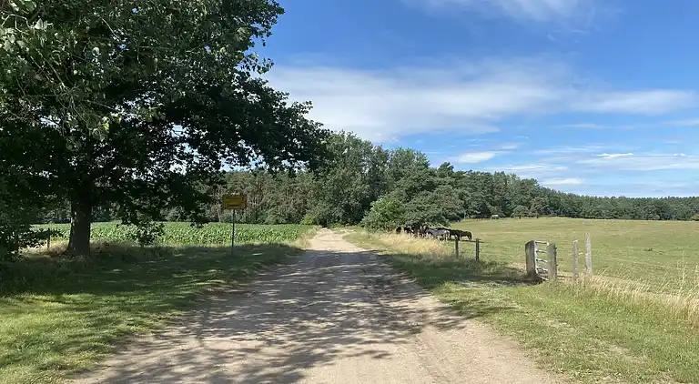 Holiday home in Neu Poserin