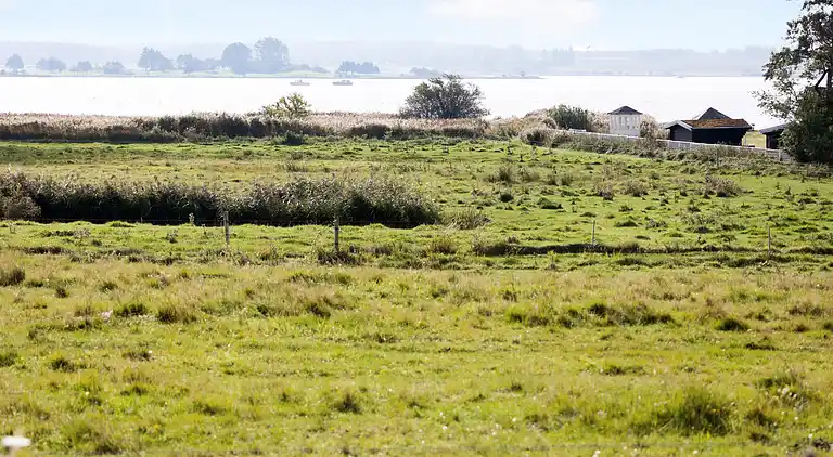Hyggeligt sommerhus på Tuse Næs i Holbæk