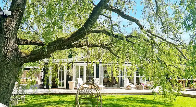 Nybygget liebhaver sommerhus ved skove og søer