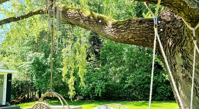 Nybygget liebhaver sommerhus ved skove og søer