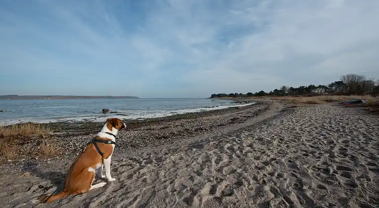 Ferienhaus mit Panoramablick auf Lammefjorden