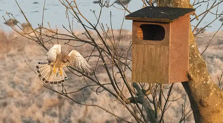 Ferienhaus mit Panoramablick auf Lammefjorden