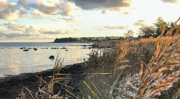 Ferienhaus mit Panoramablick auf Lammefjorden