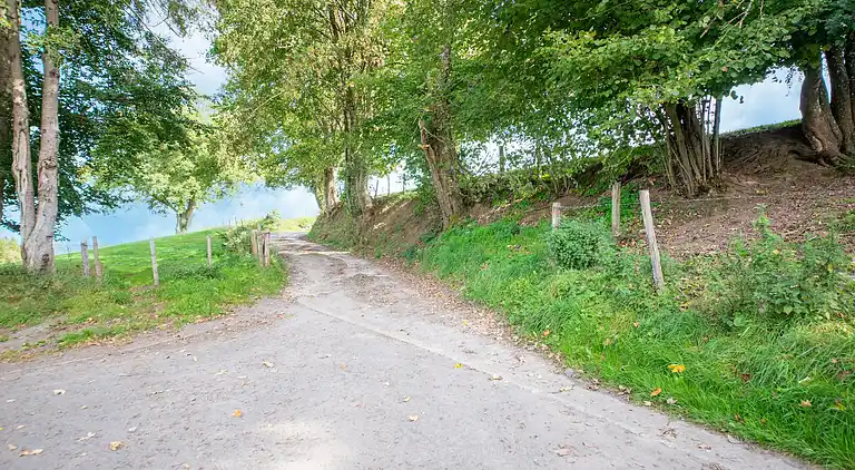 Holiday home in Lierneux