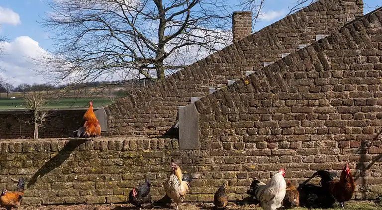 Apartment in Eijsden