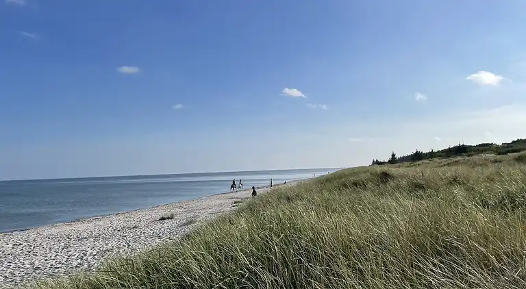 Dejligt sommerhus i Hals med 250 m til stranden