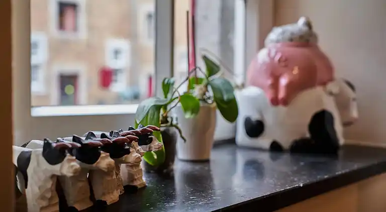 Apartment in Eijsden