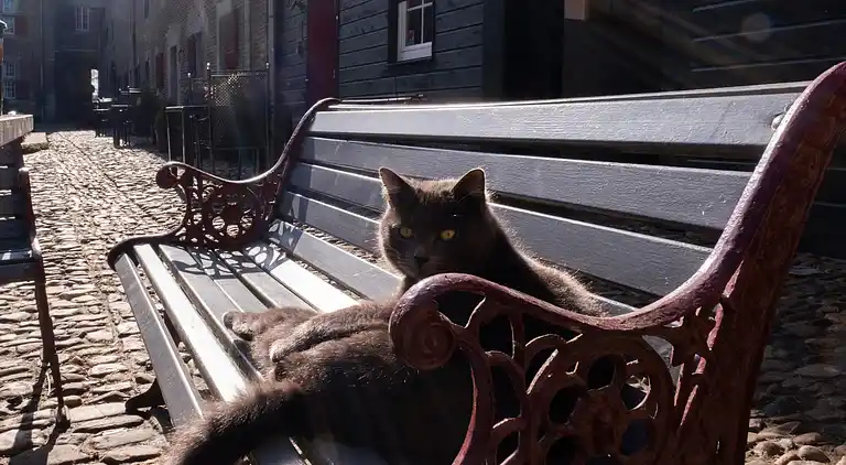 Apartment in Eijsden