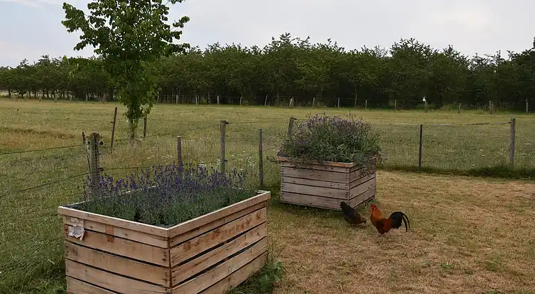 Holiday home in Eijsden