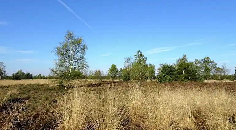 Ferienhaus in Lage Mierde