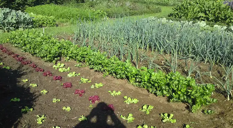 Ferienhaus in Lage Mierde