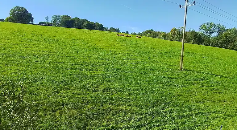 Apartment in Maria Alm