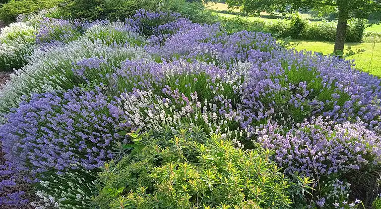 Feriebolig i Châtin