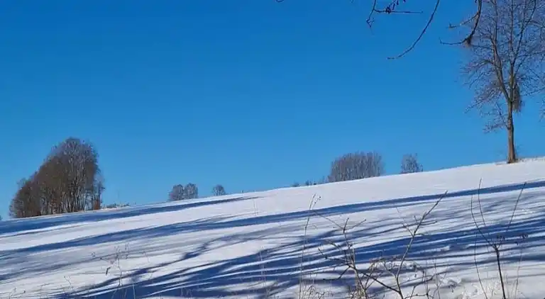 Sommerhus i Willersdorf