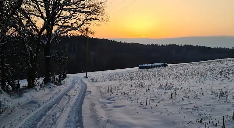 Sommerhus i Willersdorf