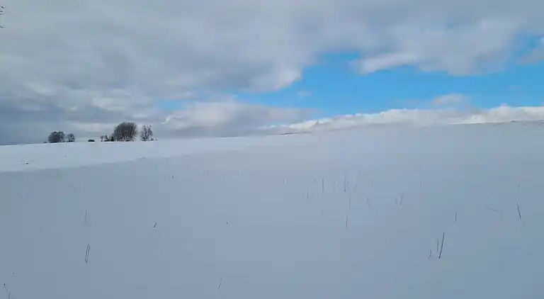 Sommerhus i Willersdorf