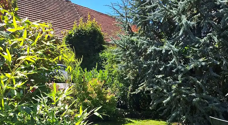 Sommerhus i Willersdorf