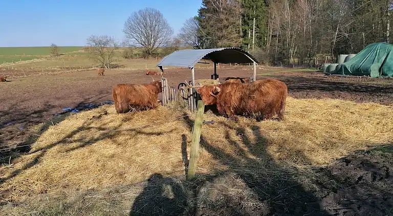 Sommerhus i Willersdorf