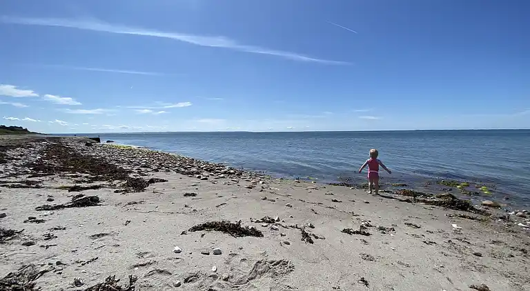 Lyst sommerhus tæt på havet i grønne omgivelser