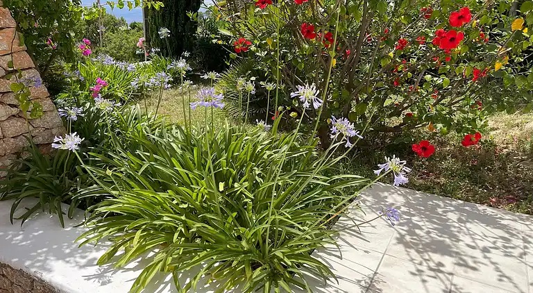 Holiday home in Sant Josep de sa Talaia