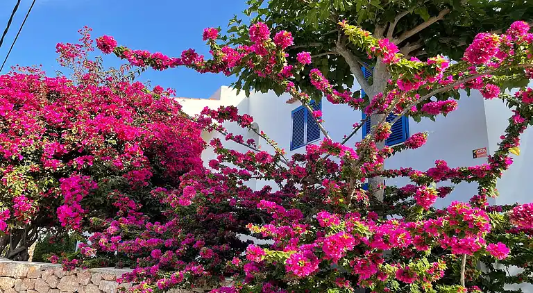 Holiday home in Sant Josep de sa Talaia