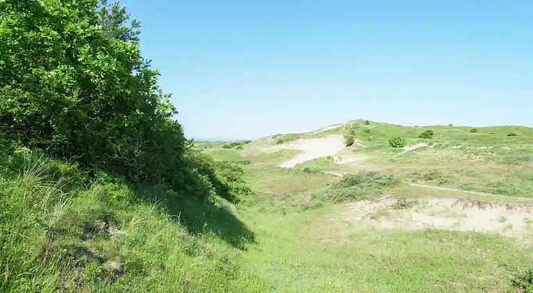 Sommerhus i Overveen